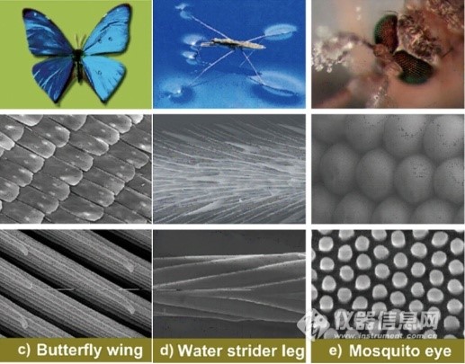 产品开发 | 自清洁纺织品开发技术