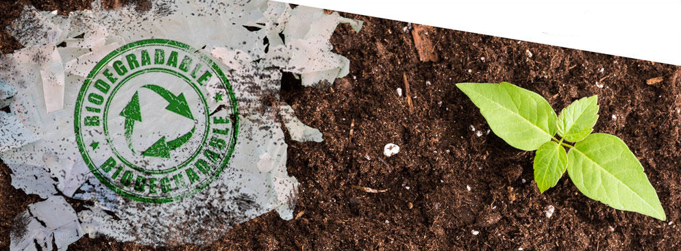 可冲散卫生用纸让卫生间更卫生