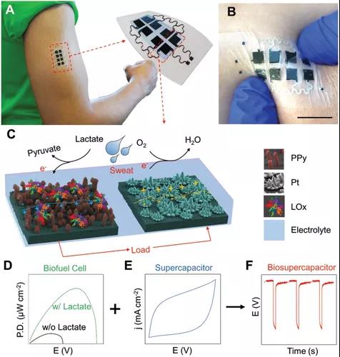一款双功能、可伸缩、可穿戴的超级电容器，能够利用汗液收集能量